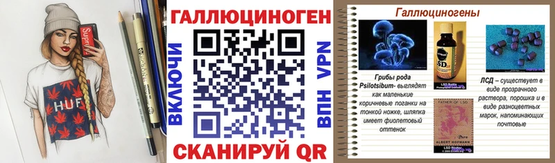 Галлюциногенные грибы Psilocybe  Благодарный 